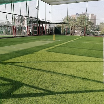 Turf Image 1